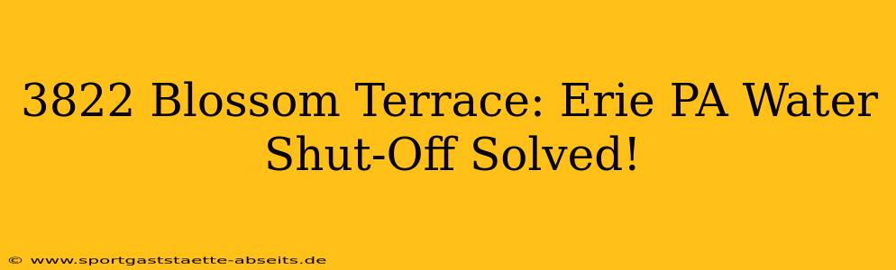 3822 Blossom Terrace: Erie PA Water Shut-Off Solved!
