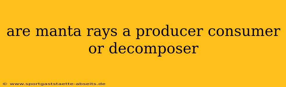 are manta rays a producer consumer or decomposer