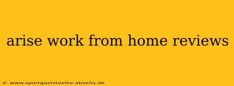 arise work from home reviews