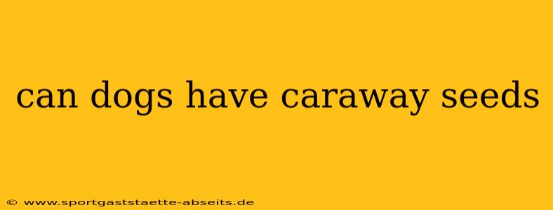 can dogs have caraway seeds