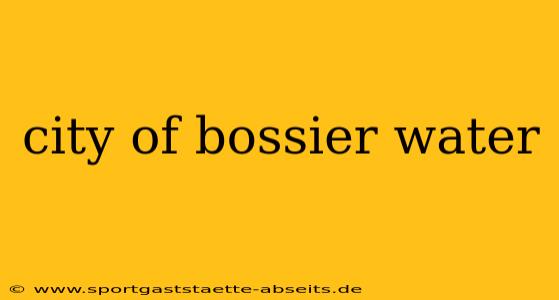 city of bossier water