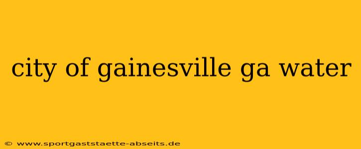 city of gainesville ga water
