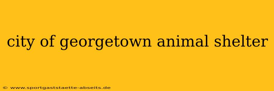 city of georgetown animal shelter