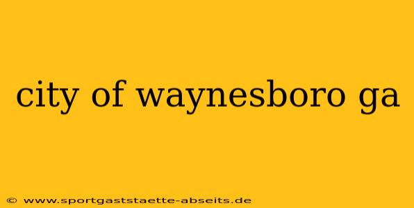 city of waynesboro ga