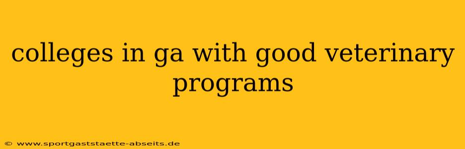 colleges in ga with good veterinary programs