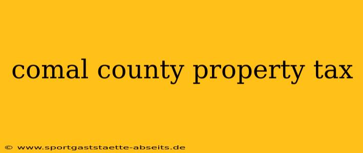 comal county property tax