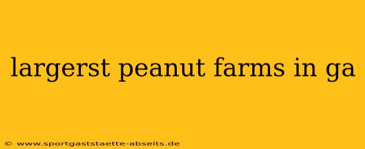 largerst peanut farms in ga