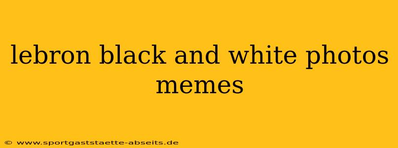 lebron black and white photos memes