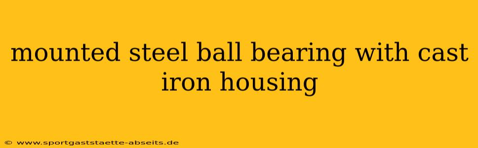 mounted steel ball bearing with cast iron housing