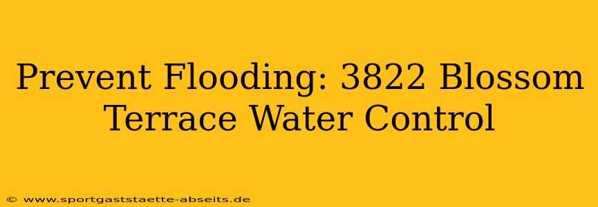 Prevent Flooding: 3822 Blossom Terrace Water Control