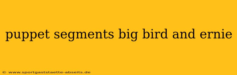 puppet segments big bird and ernie