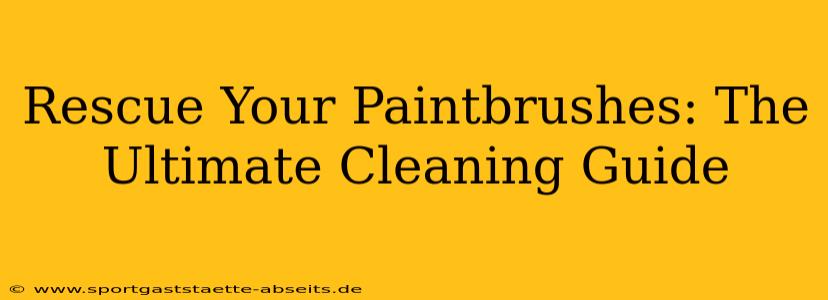 Rescue Your Paintbrushes: The Ultimate Cleaning Guide