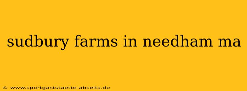 sudbury farms in needham ma