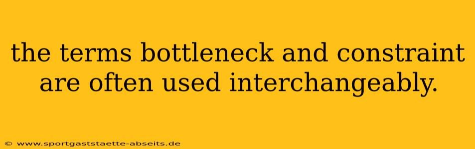 the terms bottleneck and constraint are often used interchangeably.