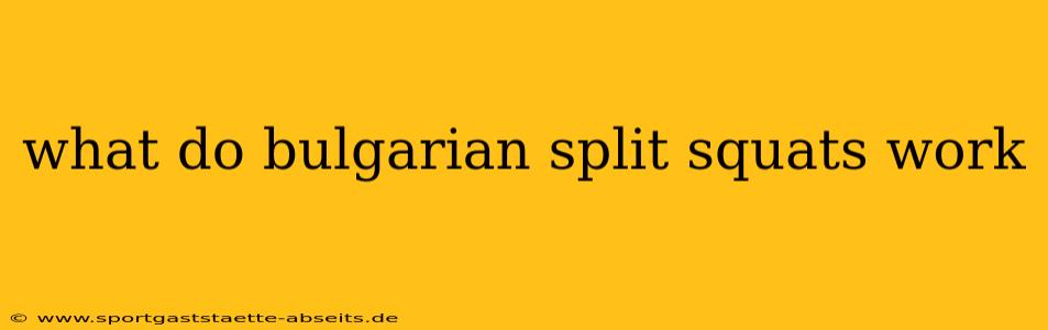 what do bulgarian split squats work