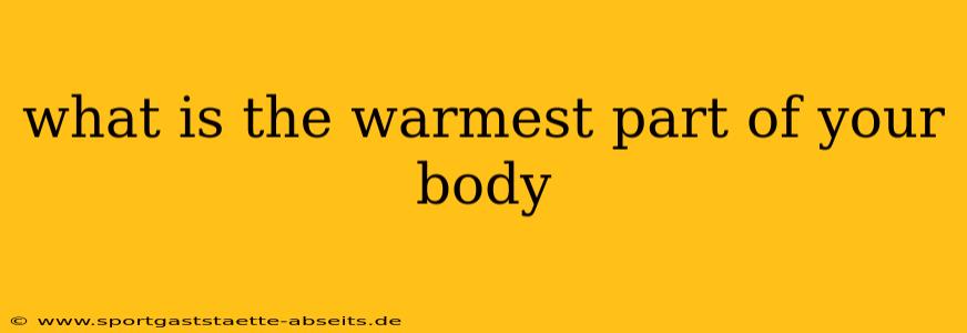 what is the warmest part of your body