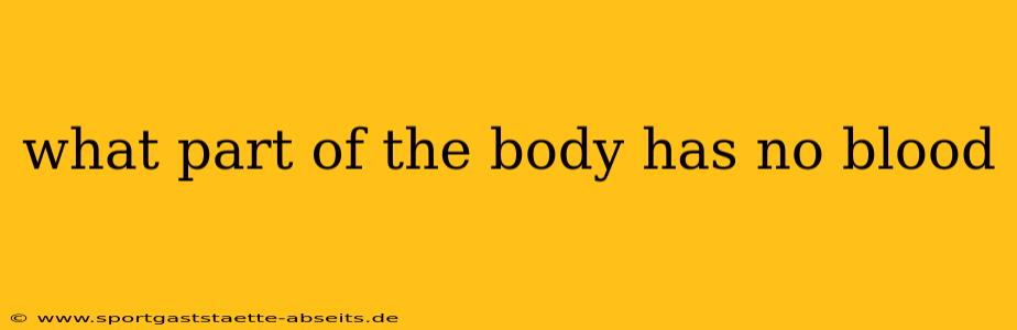 what part of the body has no blood