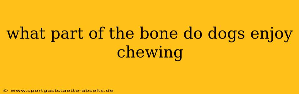 what part of the bone do dogs enjoy chewing