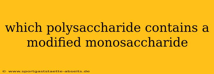 which polysaccharide contains a modified monosaccharide
