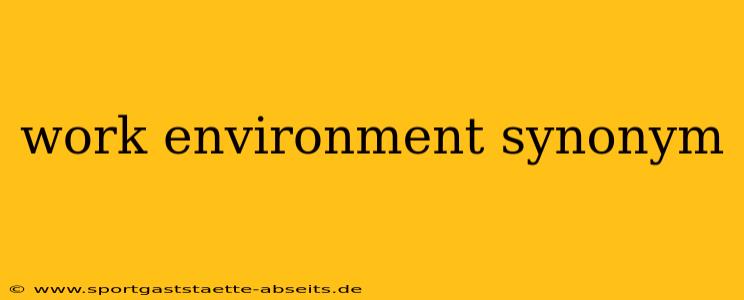 work environment synonym